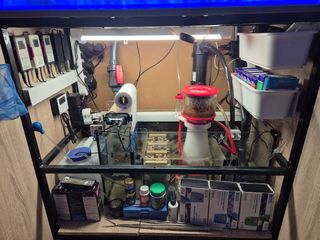 Urge venta acuario marino precio economico