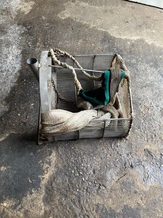 Recogedor de coquinas