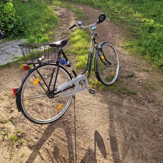 Bicicleta paseo Holandesa 