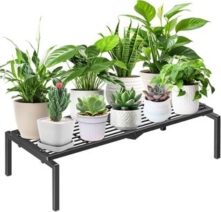 Soporte de plantas de Metal