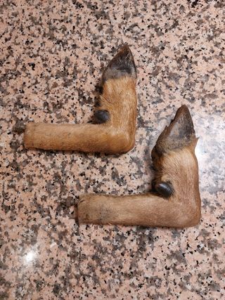 Pareja de percheros