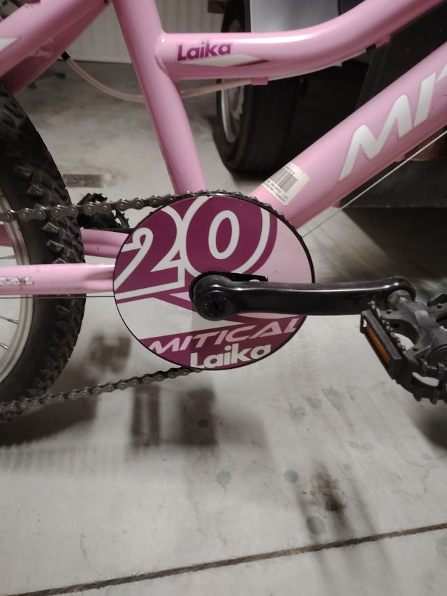 Bicicleta de 20 pulgadas