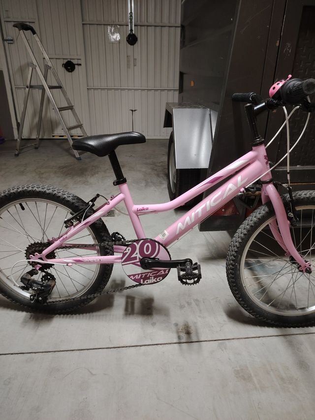 Bicicleta de 20 pulgadas