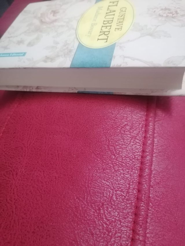 Madame Bovary (13/20) (Spanish Edition)