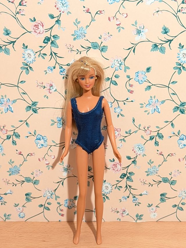 Barbie skipper hawai