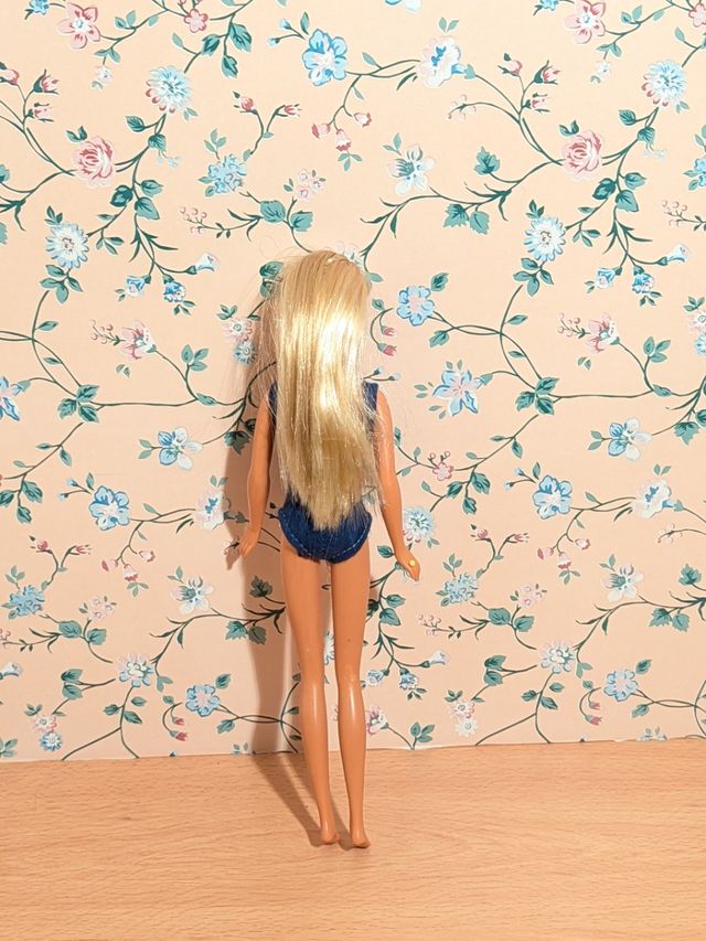 Barbie skipper hawai