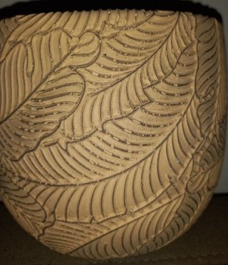 Fioriera per foglie da 17 cm