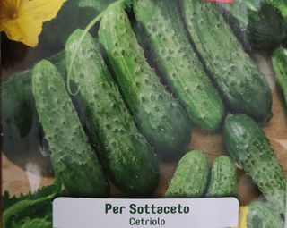 Cetriolino per sottaceti