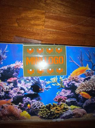 tabla skate: miniñogo