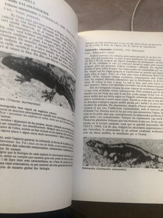 Libro el Bages / en Catalan