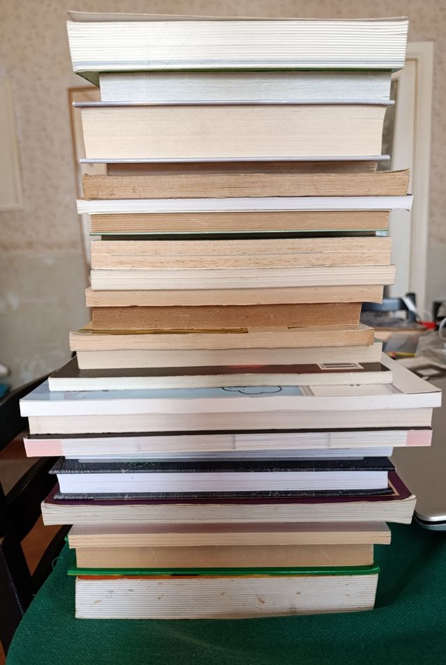 Lotto 26 libri genere manualistica 