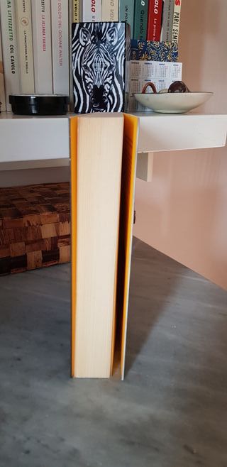 Libro "Gomorra" di Roberto Saviano