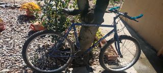 Bici azul 
