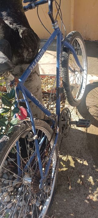 Bici azul 