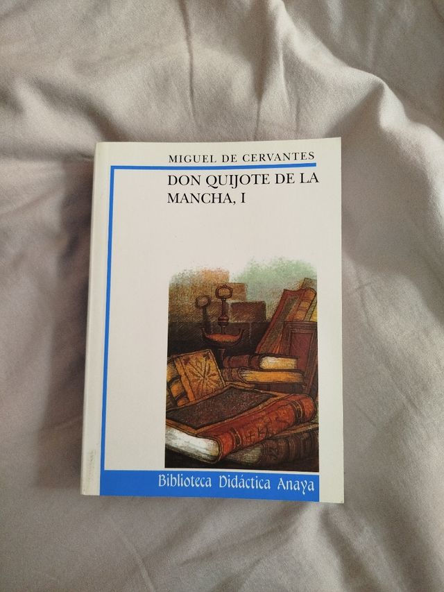 Don Quijote de La Mancha, I (Biblioteca Didactica Anaya) (Spanish Edition)