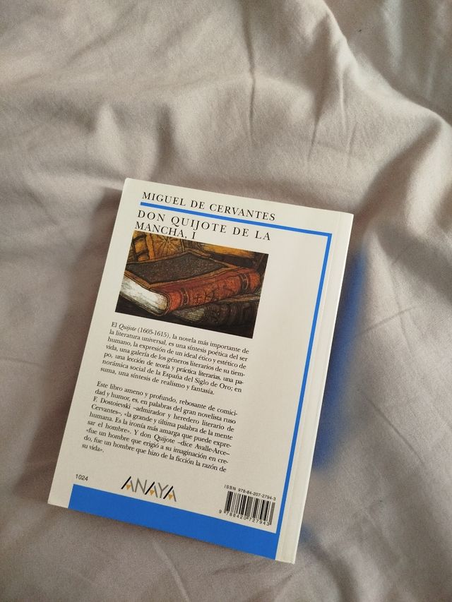 Don Quijote de La Mancha, I (Biblioteca Didactica Anaya) (Spanish Edition)