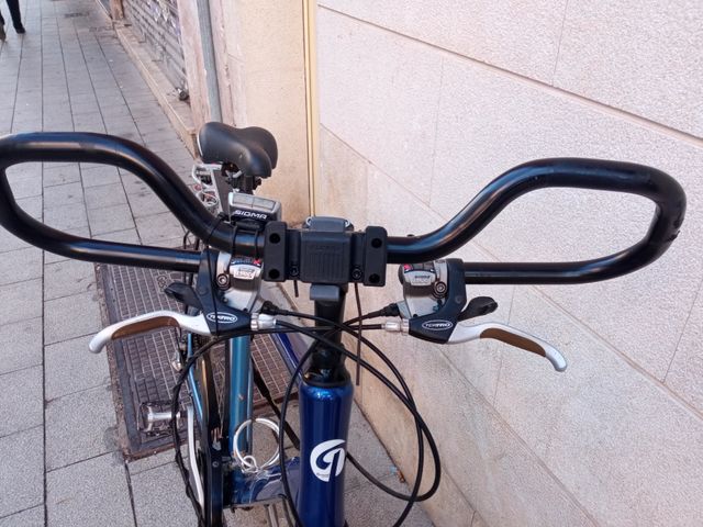 Bicicletta da trekking tedesca Diamant