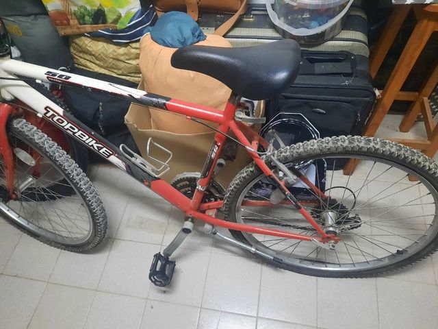 Bicicleta