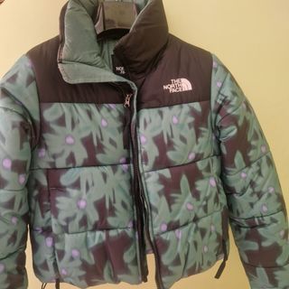 Chaqueta the norte face