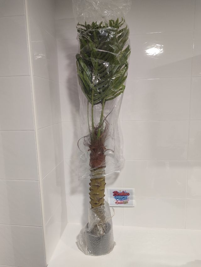 Palmera Artificial Decorativa de 120cm