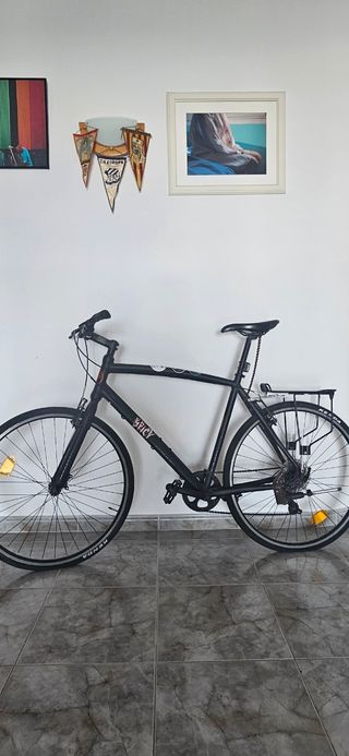 Bicicleta Obea Carpe L