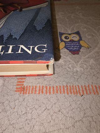 Harry Potter E la Camera Dei Segreti (Italian Edition)