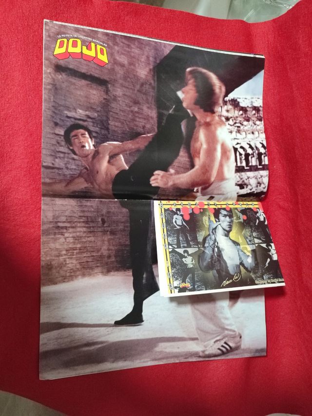 Revista DOJO BRUCE LEE