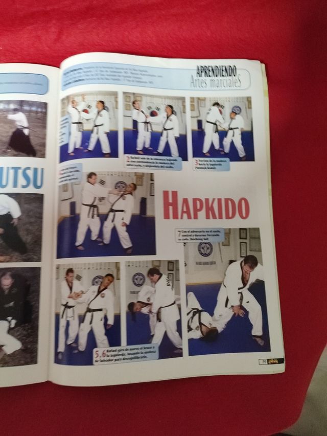 Revista DOJO BRUCE LEE