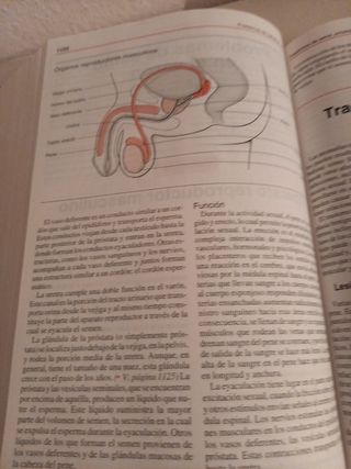 Manual Merck (Spanish Edition)