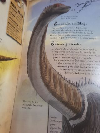 Tras la pista de los dinosaurios (Cajón secreto) (Spanish Edition)