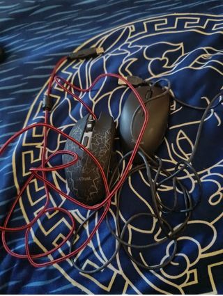 2 Mouse prezzo unico