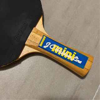 Racchetta da ping pong Waldner Banda con custodia