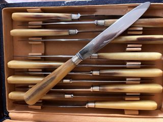 Posate antiche e coltelli di corno e argento