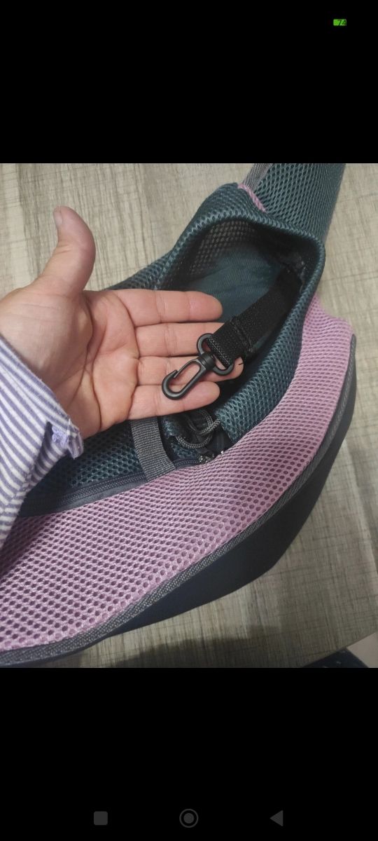 Tracolla per cani 🐶