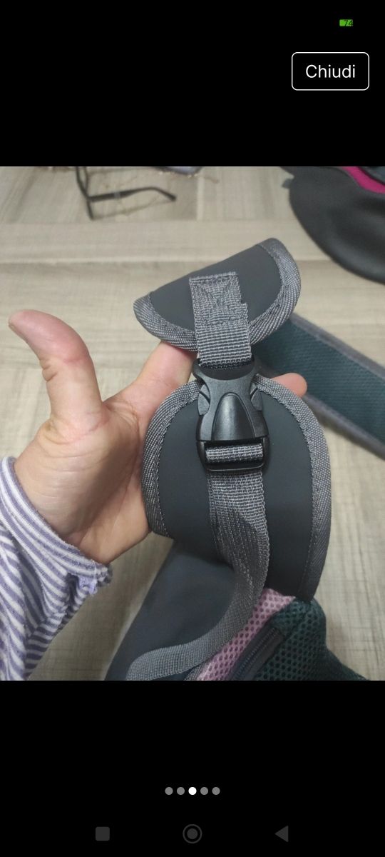 Tracolla per cani 🐶