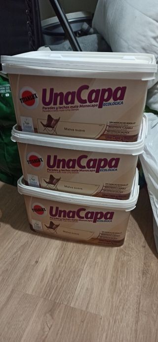 Botes de Pintura 