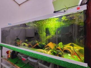 Acuario de 180 x 65 x 50 con su repisa 