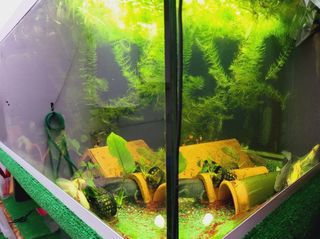 Acuario de 180 x 65 x 50 con su repisa 
