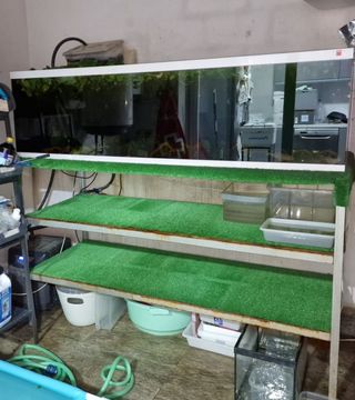 Acuario de 180 x 65 x 50 con su repisa 