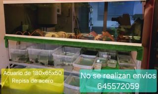 Acuario de 180 x 65 x 50 con su repisa 