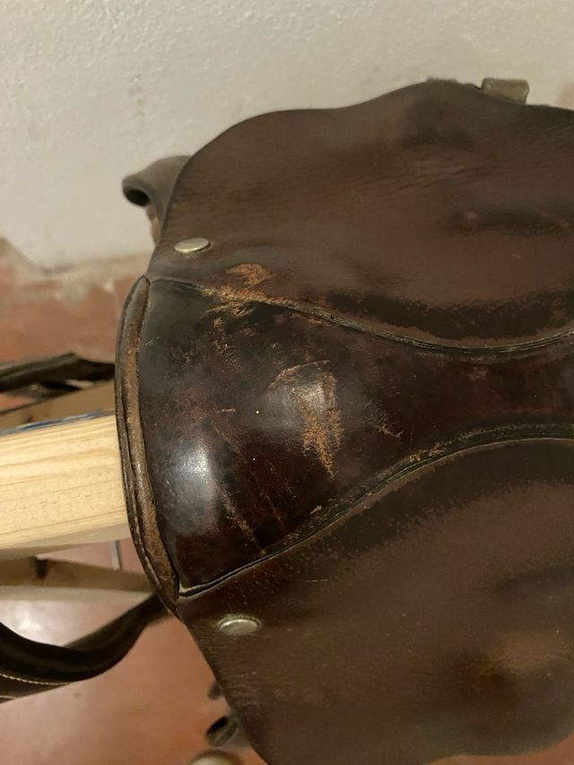 Silla de montar de salto y cincha