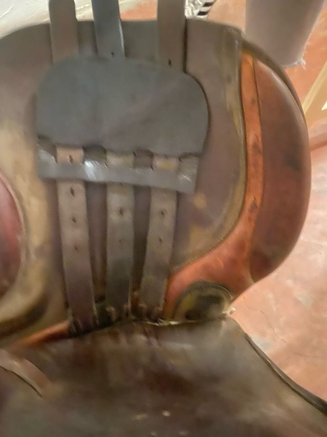 Silla de montar de salto y cincha