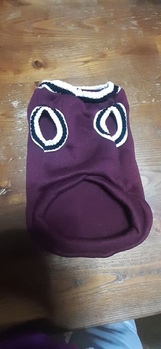 Cappottino cane