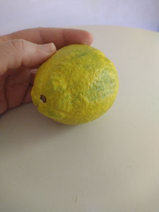 Limone in marmo di Carrara,