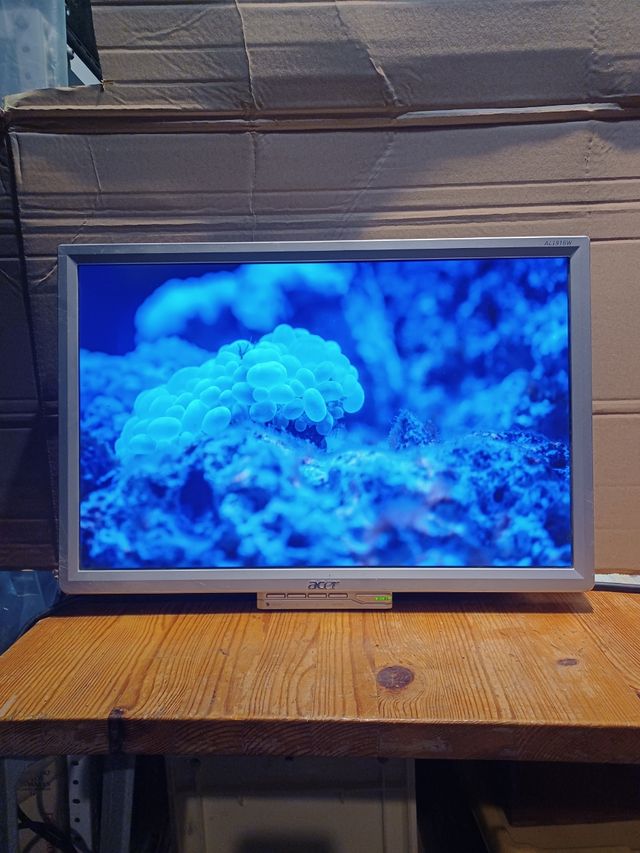 Monitor 19" ACER AL1916W A
