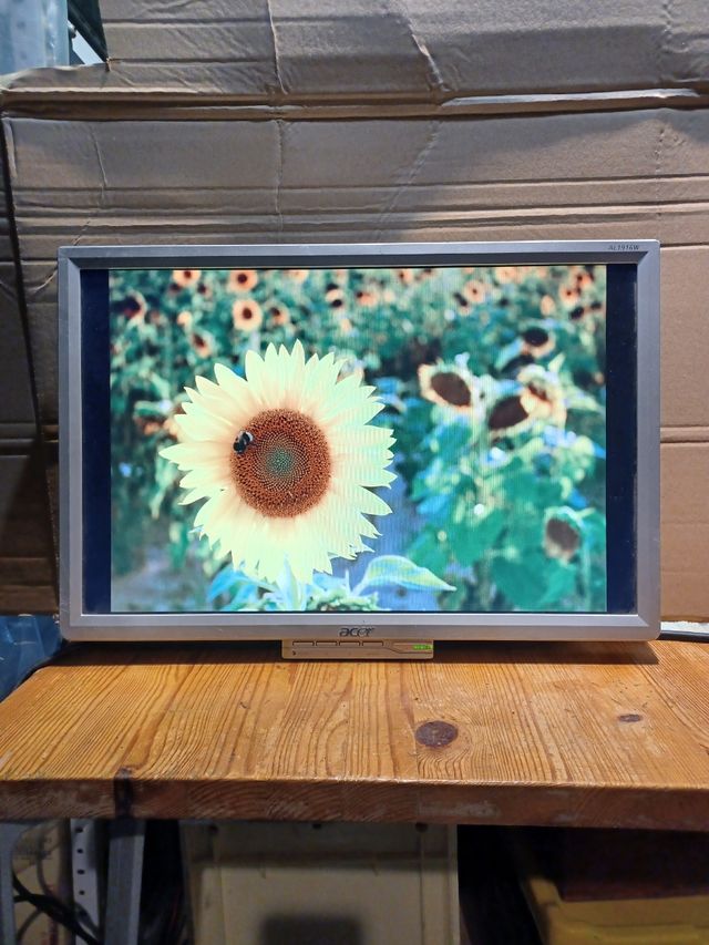 Monitor 19" ACER AL1916W A