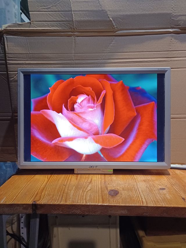 Monitor 19" ACER AL1916W A