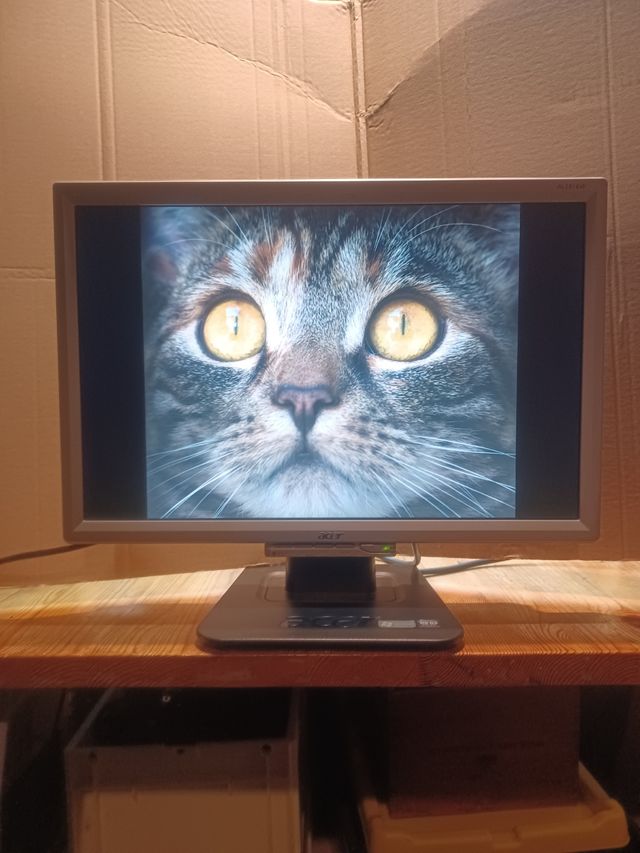 Monitor 19" ACER AL1916W