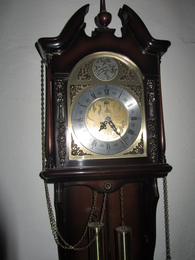 Reloj de pared - Tempus Fugit