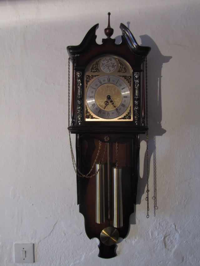 Reloj de pared - Tempus Fugit